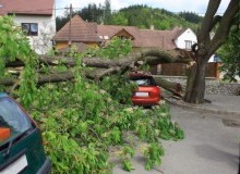 Kwikfynd Tree Cutting Services
bonnetbay