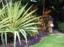Kwikfynd Tropical Landscaping
bonnetbay